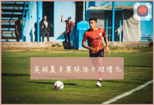 英超夏季赛球场介绍情况