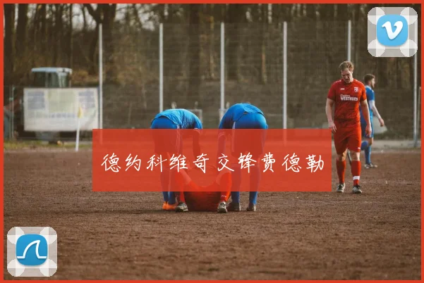 德约科维奇交锋费德勒