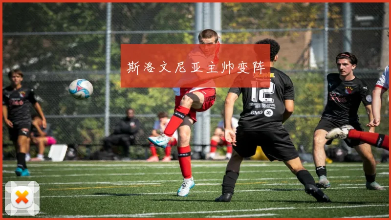 斯洛文尼亚主帅变阵