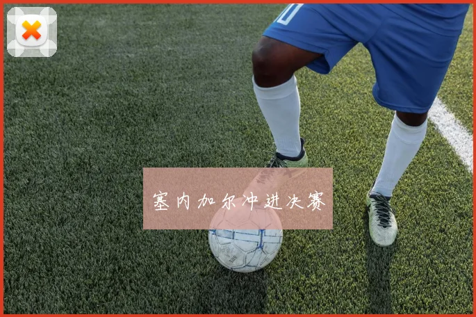 塞内加尔冲进决赛