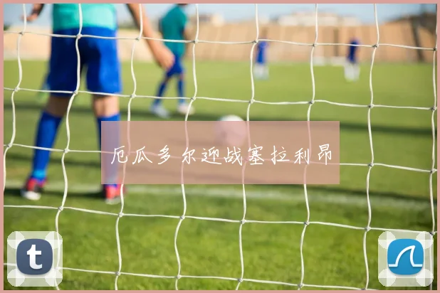 厄瓜多尔迎战塞拉利昂