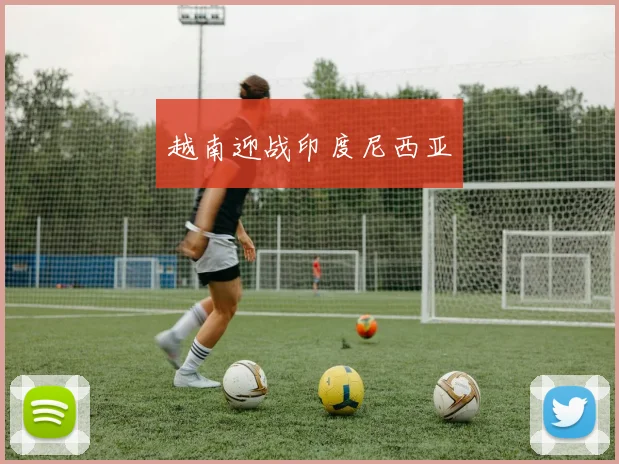 越南迎战印度尼西亚