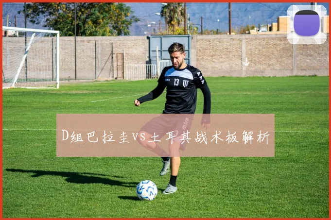 D组巴拉圭vs土耳其战术板解析