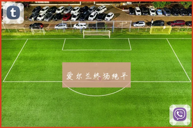爱尔兰终场绝平