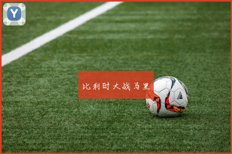 比利时大战马里