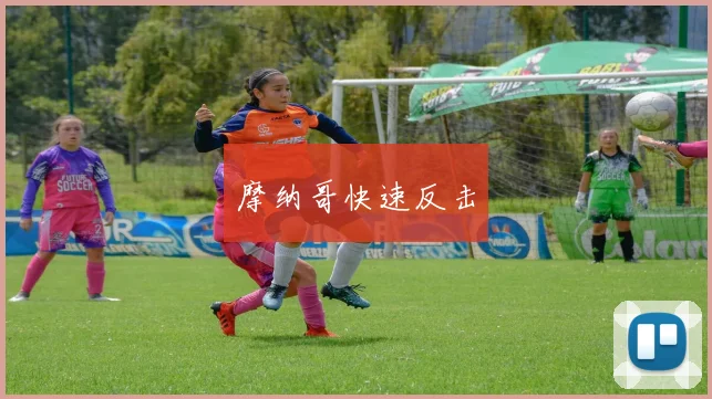 摩纳哥快速反击