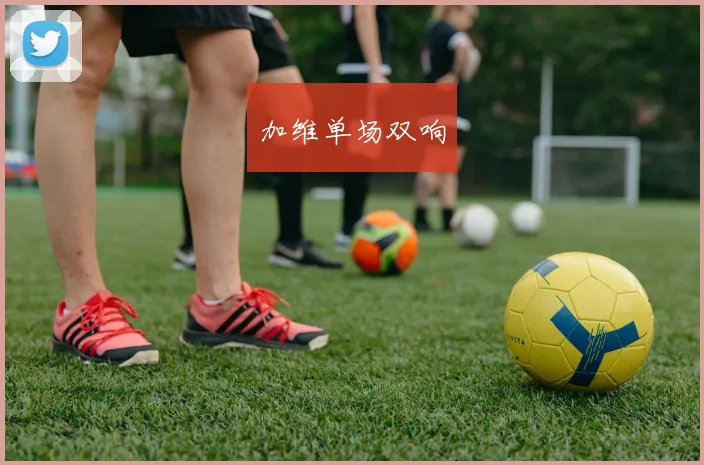 加维单场双响