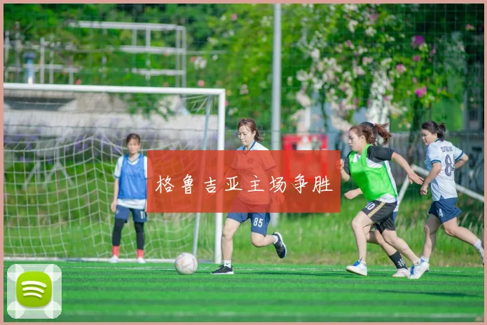 格鲁吉亚主场争胜