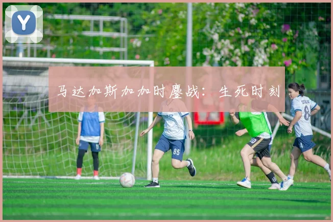 马达加斯加加时鏖战：生死时刻