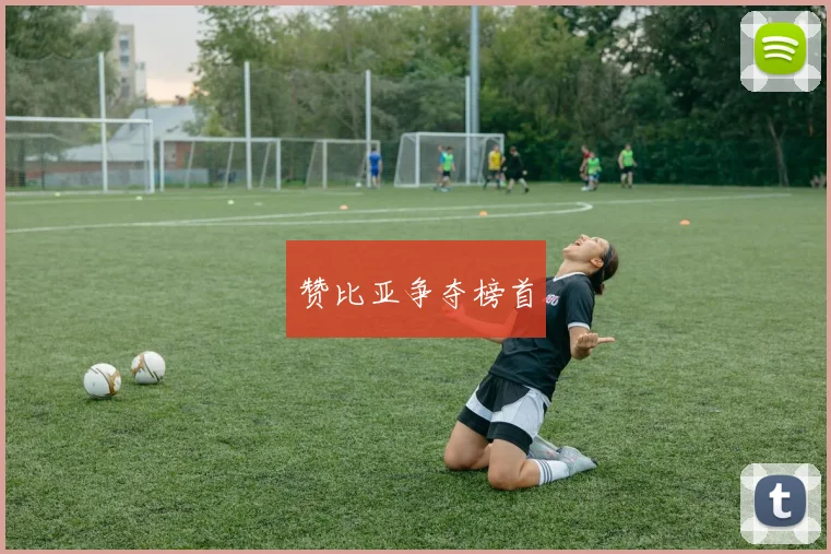 赞比亚争夺榜首