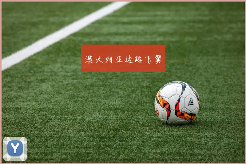澳大利亚边路飞翼