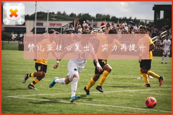 赞比亚核心复出，实力再提升