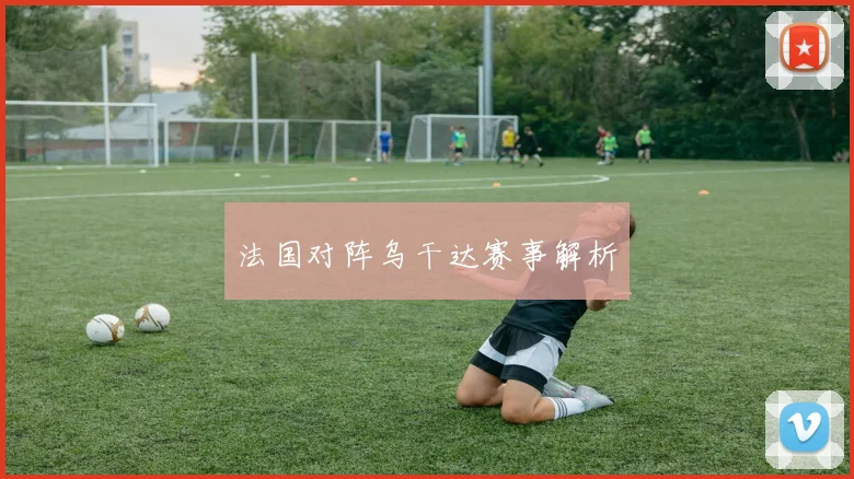 法国对阵乌干达赛事解析