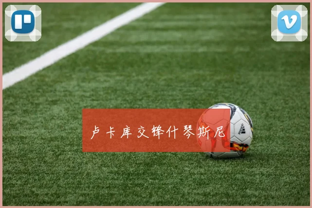 卢卡库交锋什琴斯尼