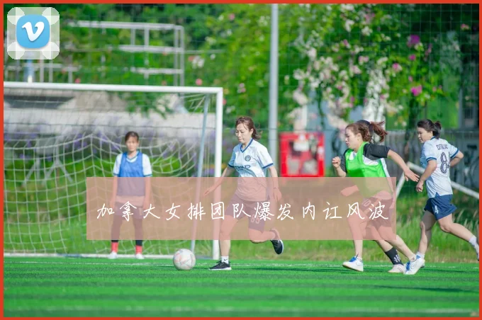 加拿大女排团队爆发内讧风波