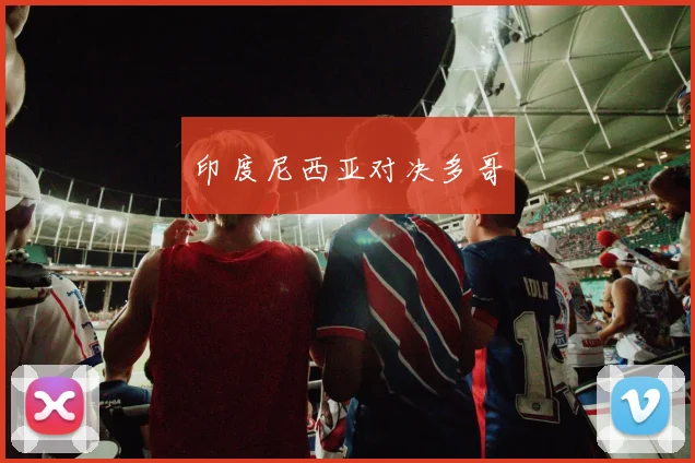 印度尼西亚对决多哥