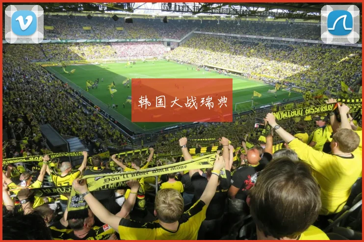 韩国大战瑞典