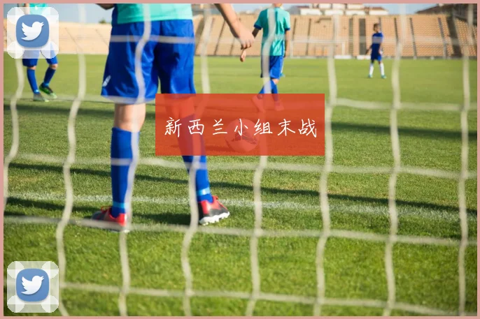 新西兰小组末战