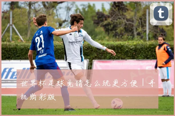 世界杯足球竞猜怎么玩更方便｜手机购彩版