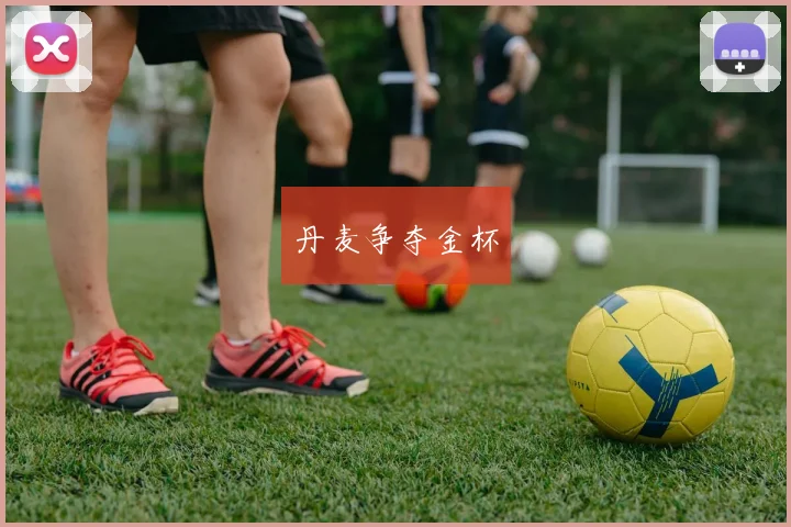 丹麦争夺金杯