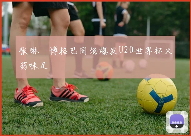 张琳芃博格巴同场爆发U20世界杯火药味足