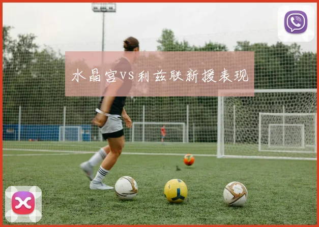 水晶宫vs利兹联新援表现
