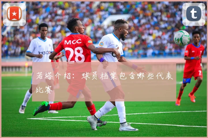 若塔介绍:球员档案包含哪些代表比赛