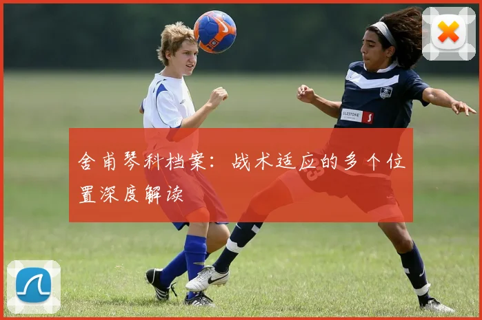 舍甫琴科档案:战术适应的多个位置深度解读