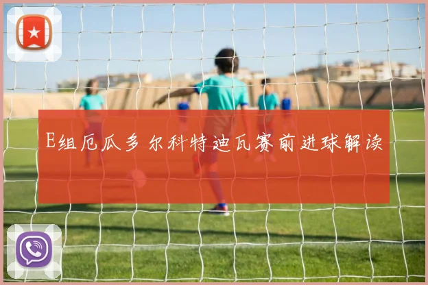 E组厄瓜多尔科特迪瓦赛前进球解读